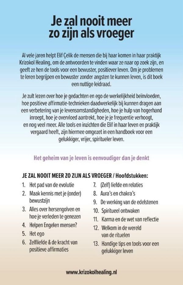 Je zal nooit meer zo zijn als vroeger (ebook) - Afbeelding 2